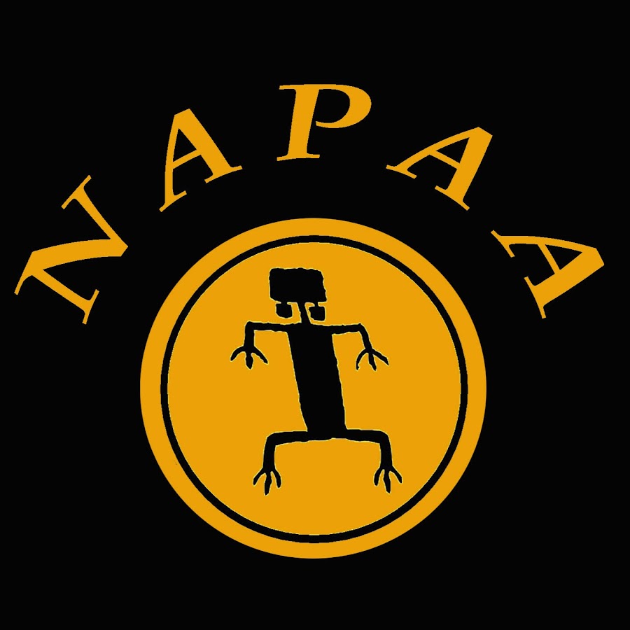 NAPAA Research YouTube channel avatar