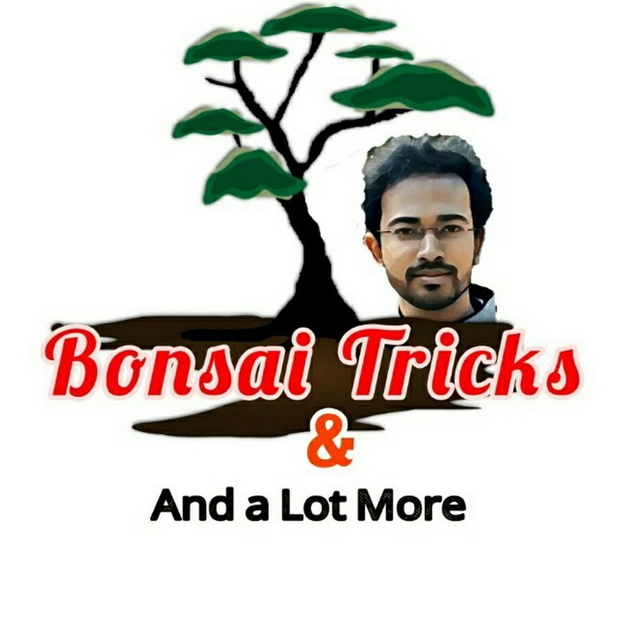 Bonsai Tricks And a Lot More YouTube channel avatar