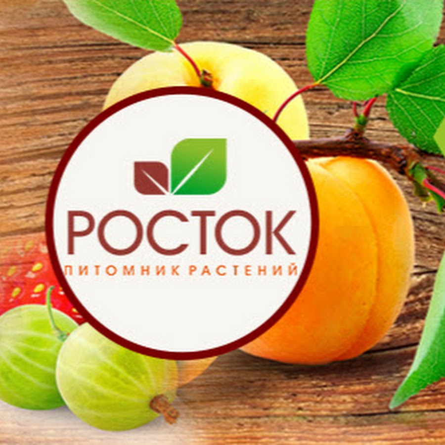 Росток Питомник Интернет Магазин Официальный