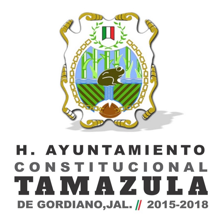 AyuntamientoTamazula2015 YouTube channel avatar