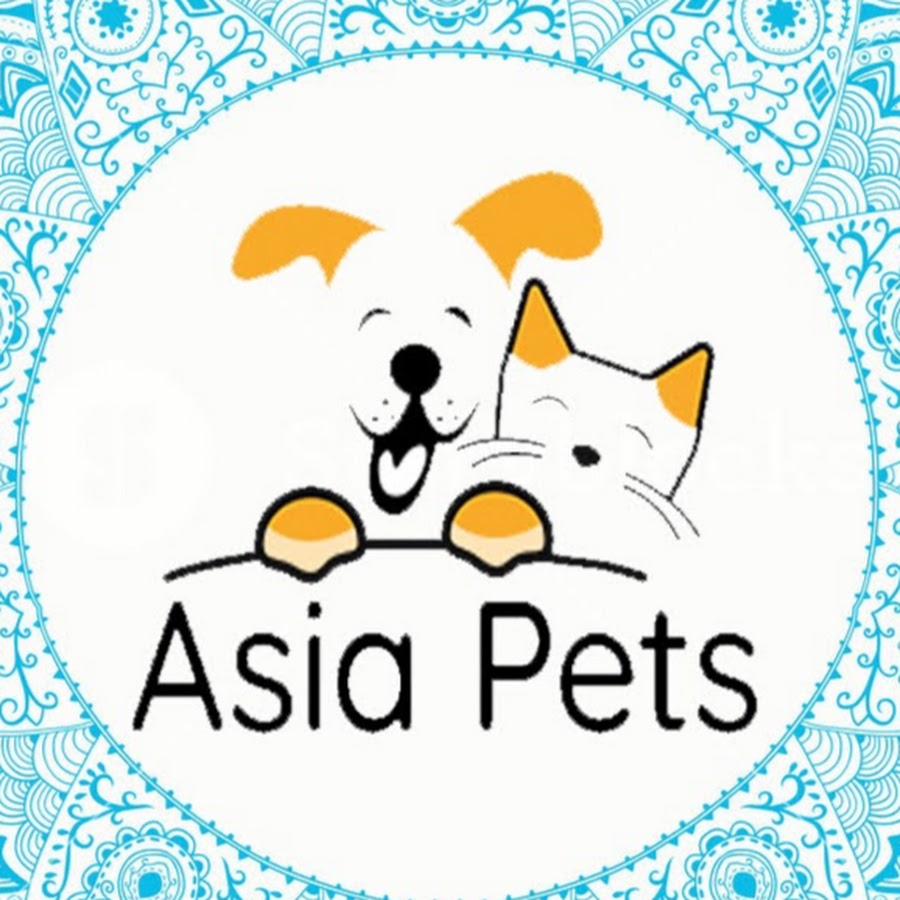 Asia Pets Awatar kanału YouTube