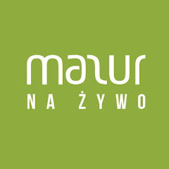 MAZUR Na Żywo