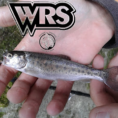 Wędkarstwo & Akwarystyka WRS