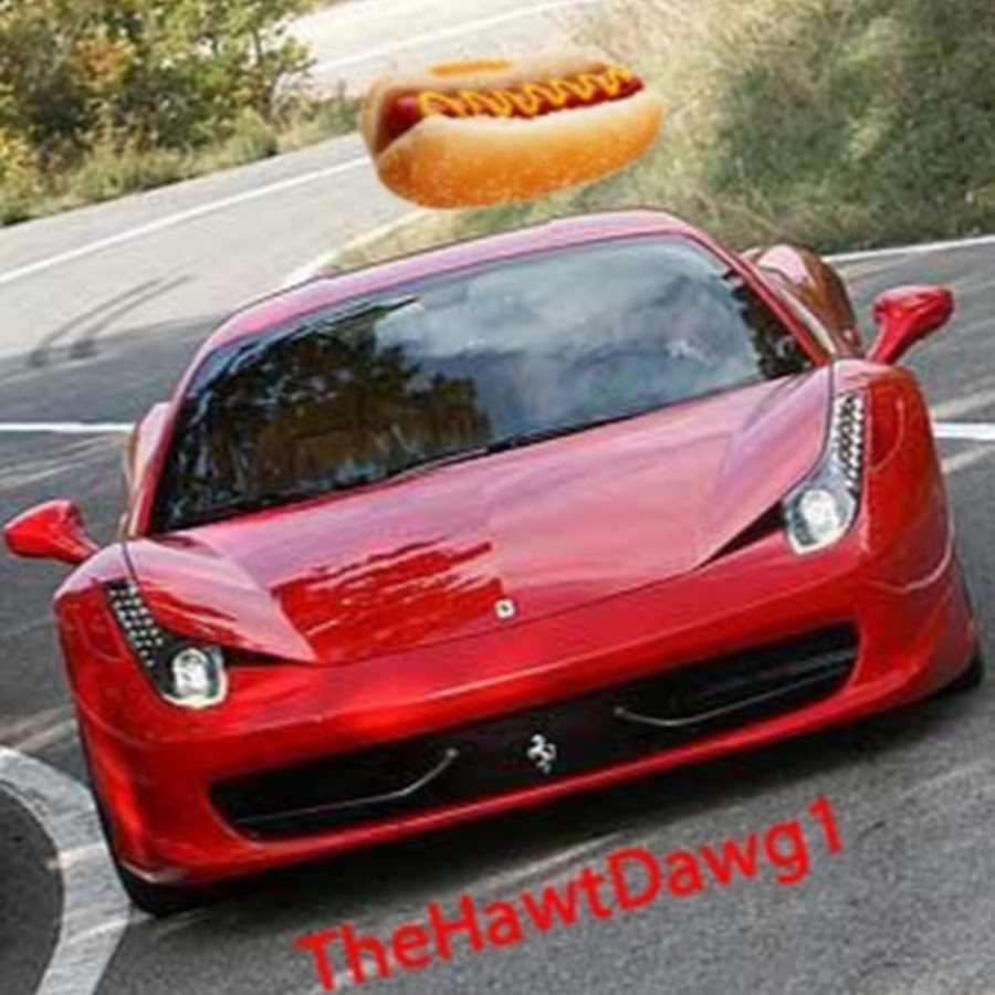 TheHawtDawg1 رمز قناة اليوتيوب