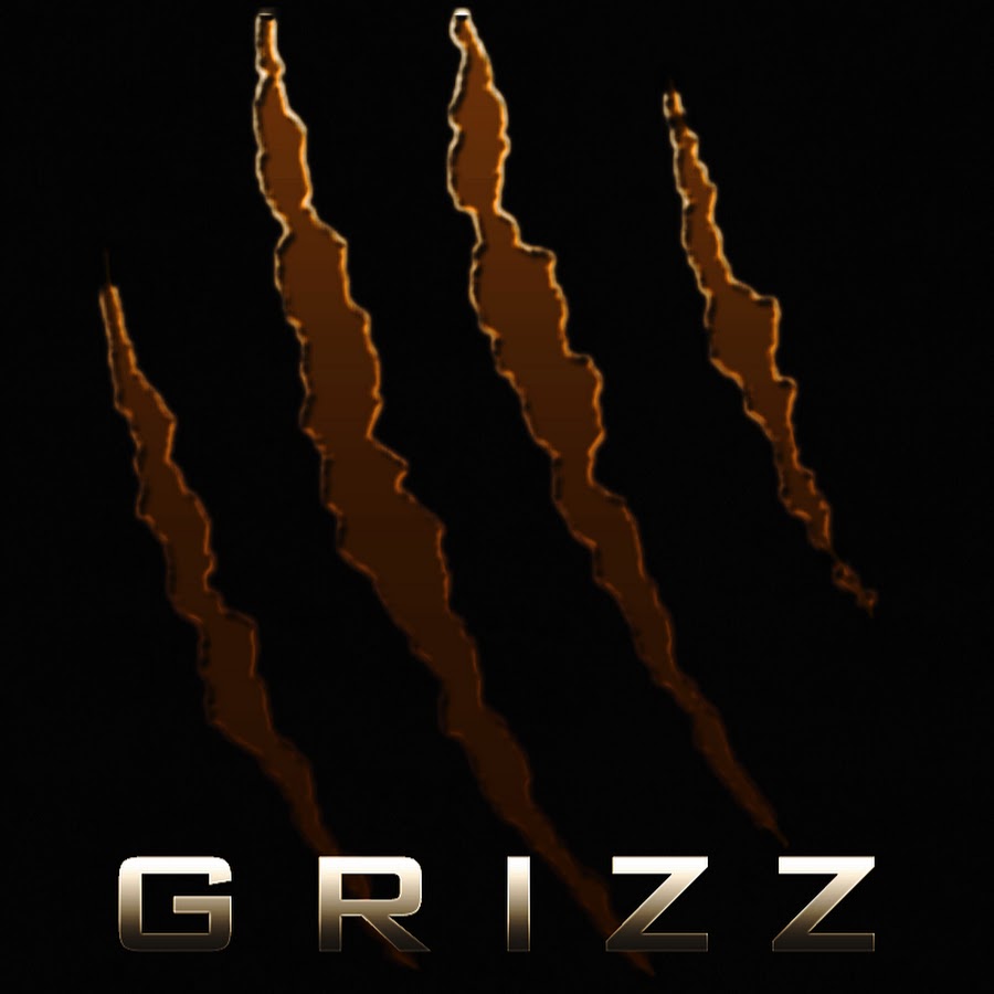 zzirGrizz YouTube channel avatar