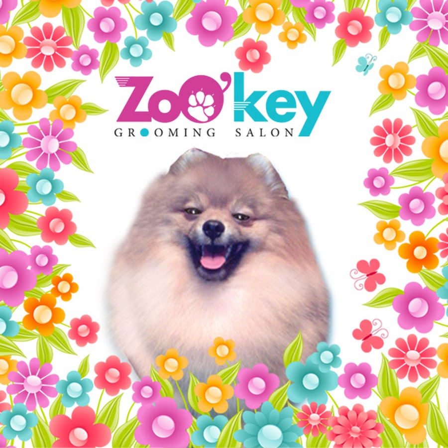 ZoOkeyGroomingSalon YouTube kanalı avatarı