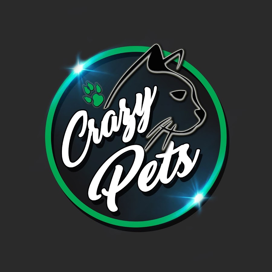 Crazy Pets YouTube channel avatar
