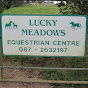Lucky Meadows - @luckymeadowscork YouTube Profile Photo