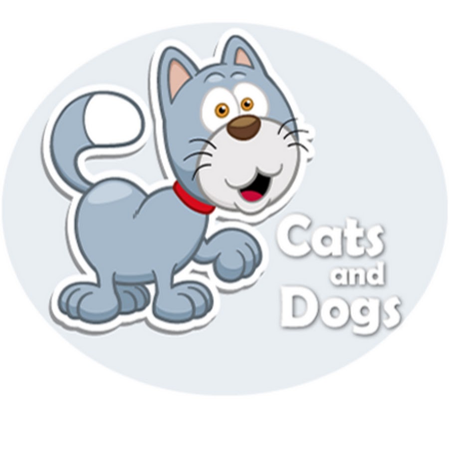 Cats and Dogs YouTube channel avatar