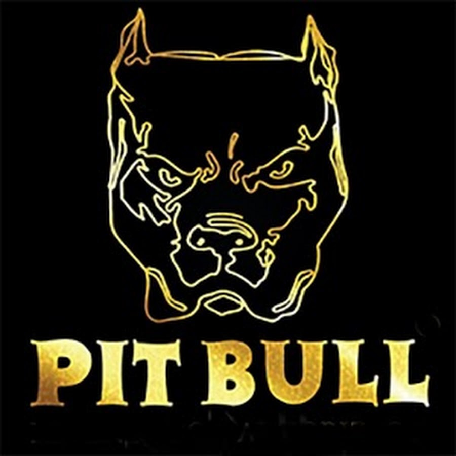 PIT BULL Avatar canale YouTube 
