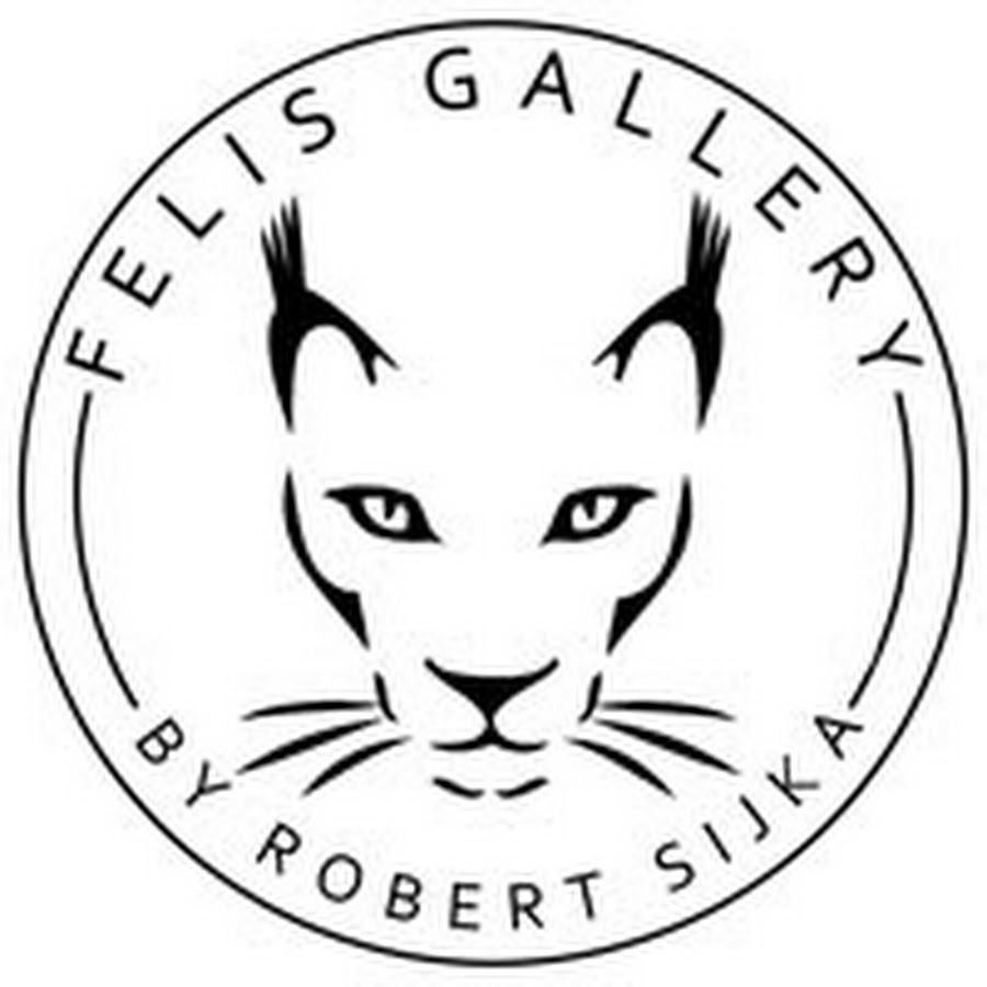 Felis Gallery by Robert Sijka यूट्यूब चैनल अवतार