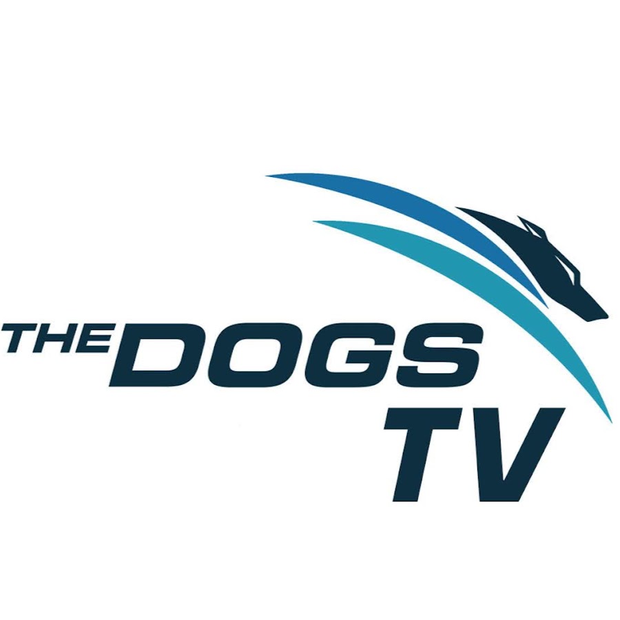 Dogs TV YouTube channel avatar