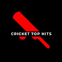 Cricket top Hits - Youtube