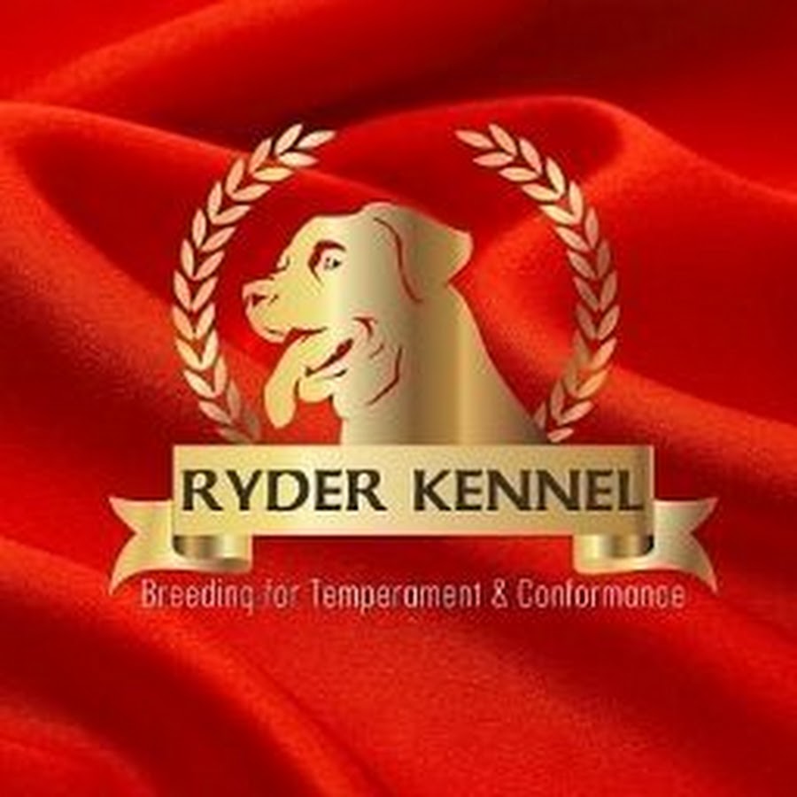 RYDER Kennel