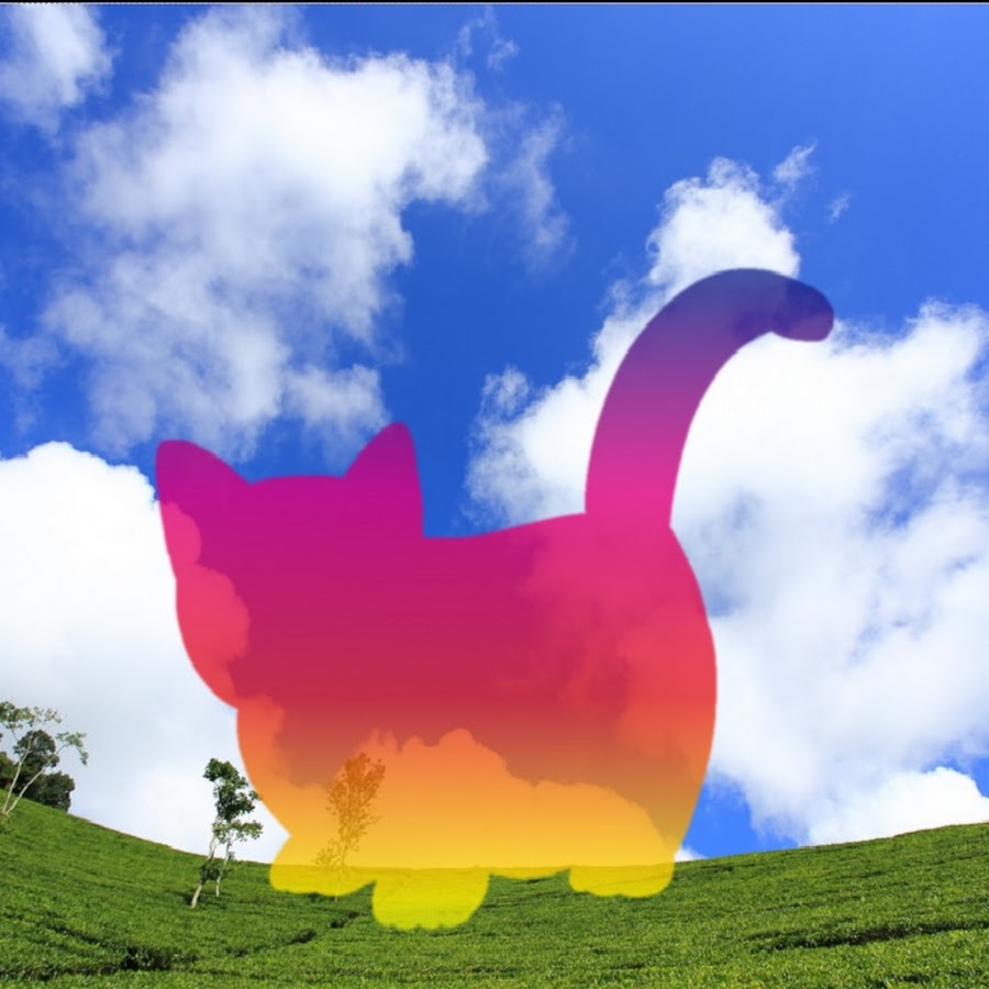 regenbogen katze