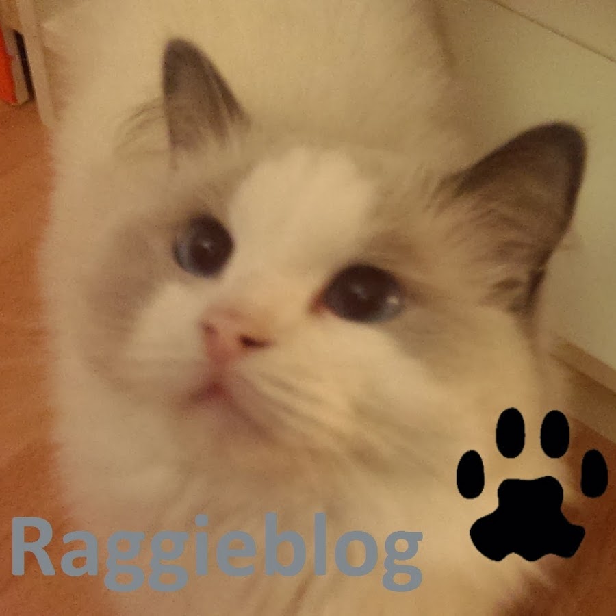 Raggieblog YouTube kanalı avatarı
