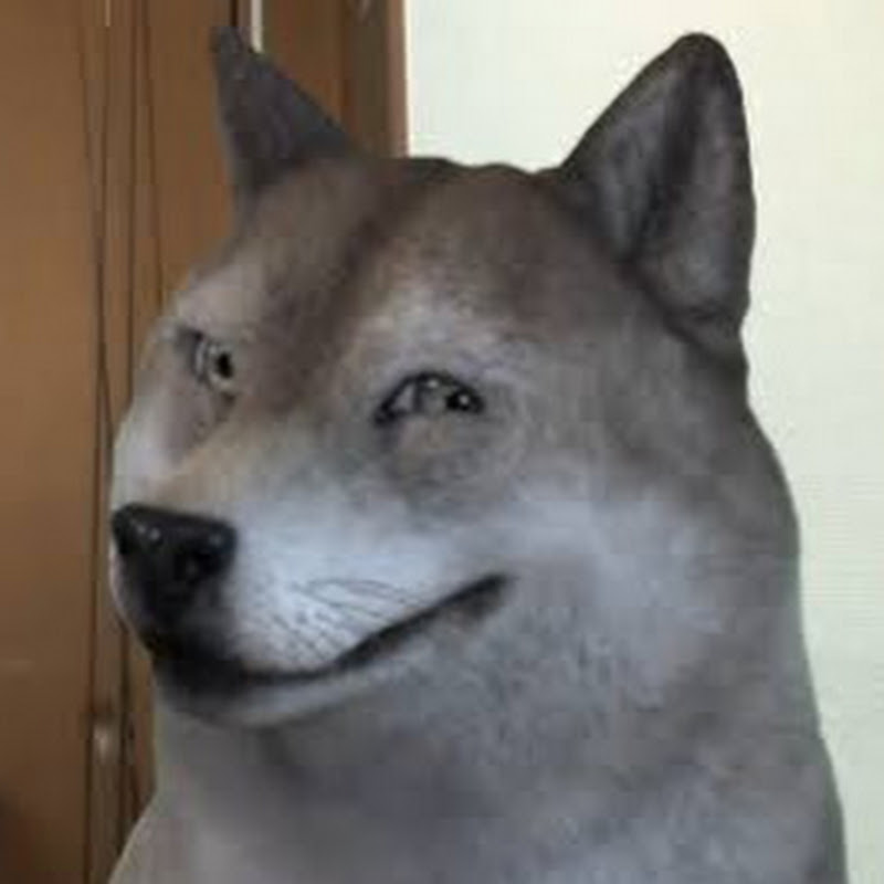 龍神オルステッド - 網紅的藏寶箱 