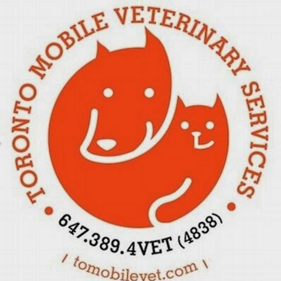 Toronto Mobile Veterinary Services Avatar channel YouTube 