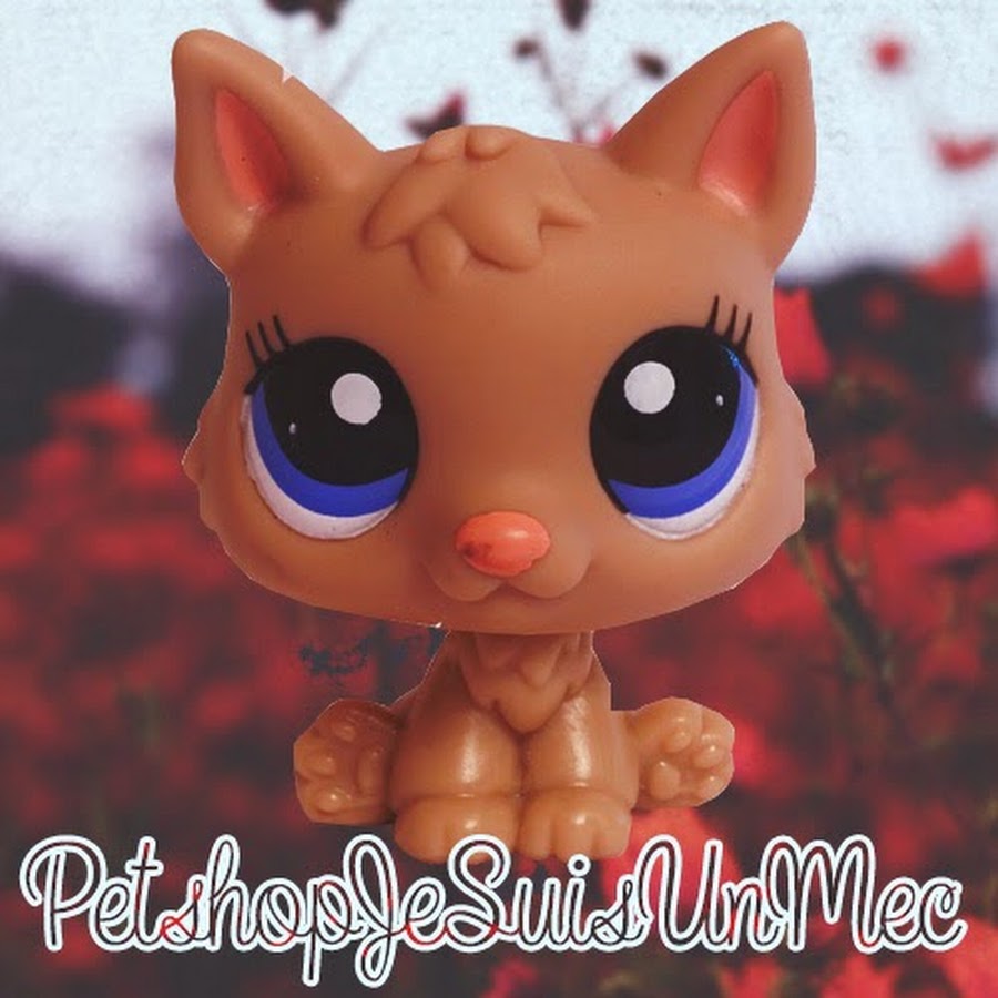 PetshopJeSuisUnMec YouTube channel avatar