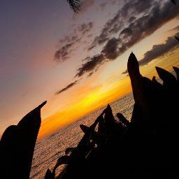 √ 毬乃 116392-毬乃 読み方