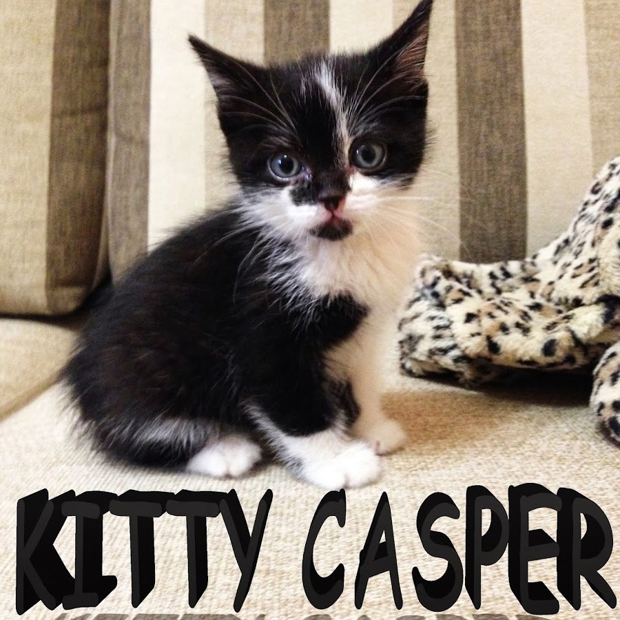 KittyCasper Avatar del canal de YouTube