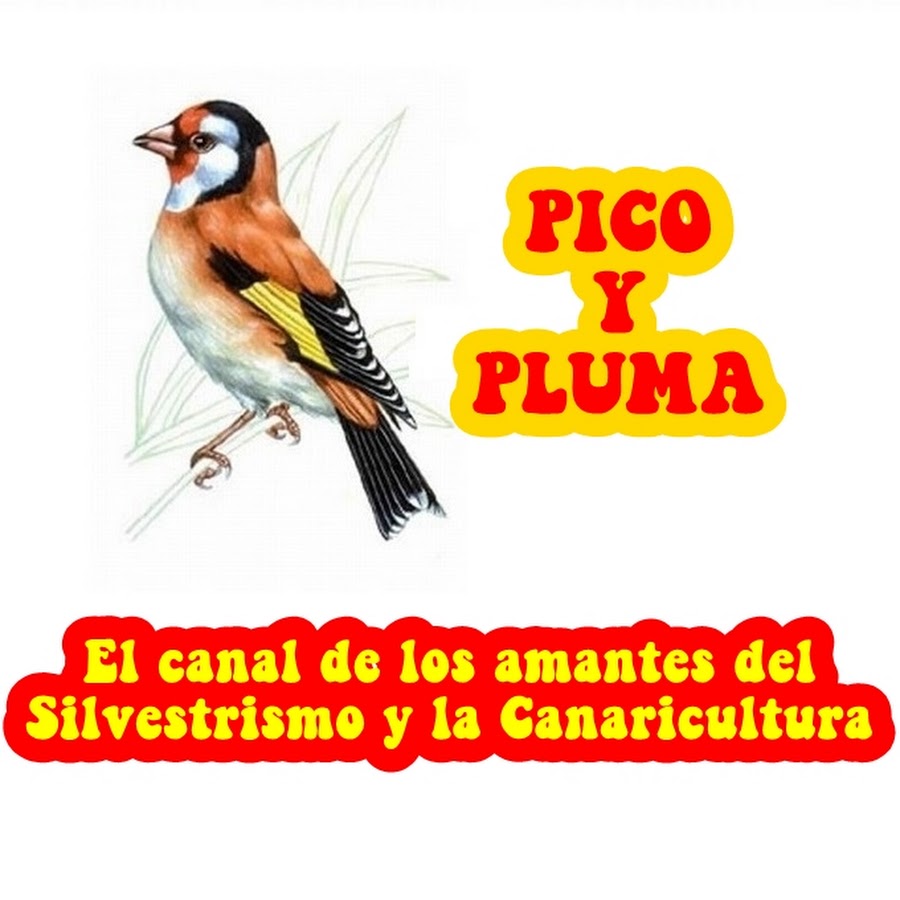 PICO Y PLUMA YouTube kanalı avatarı