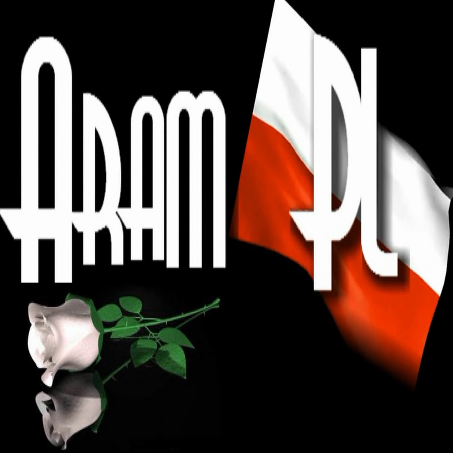 Aram PL YouTube 频道头像