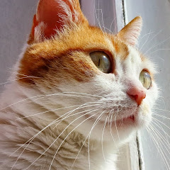 The Mrurk