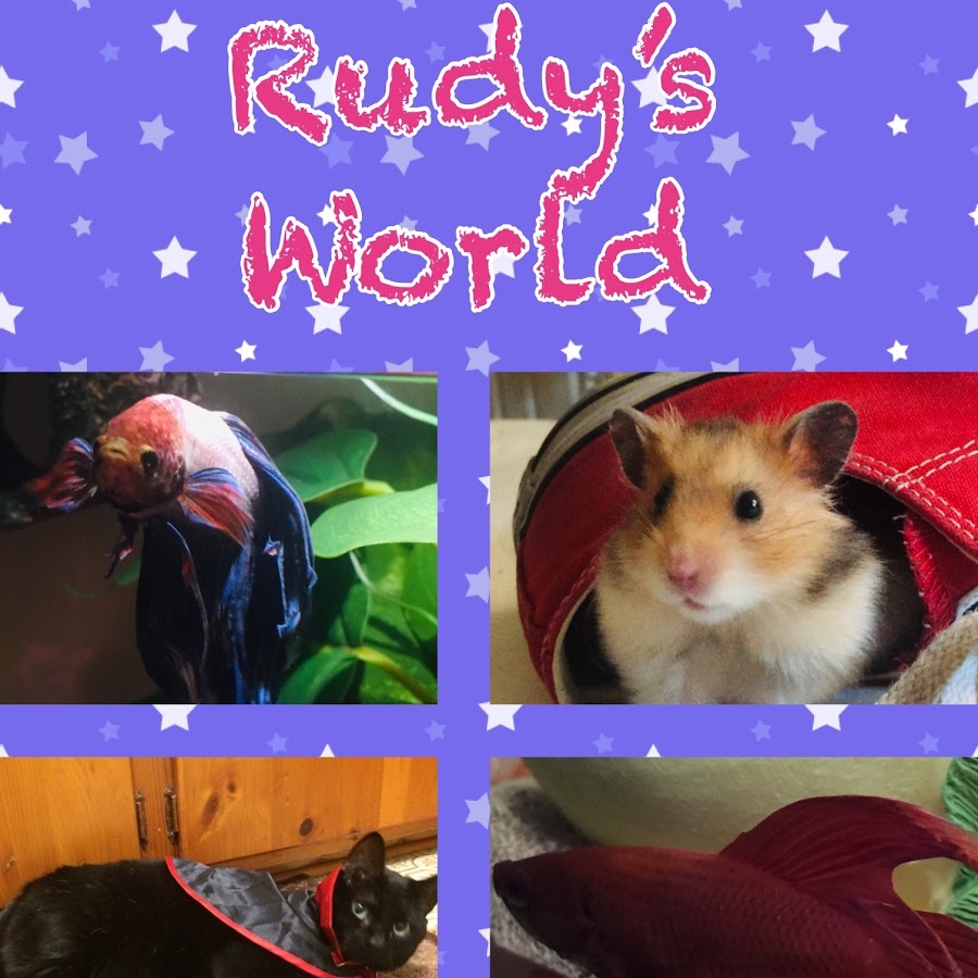 Rudy's Toy World