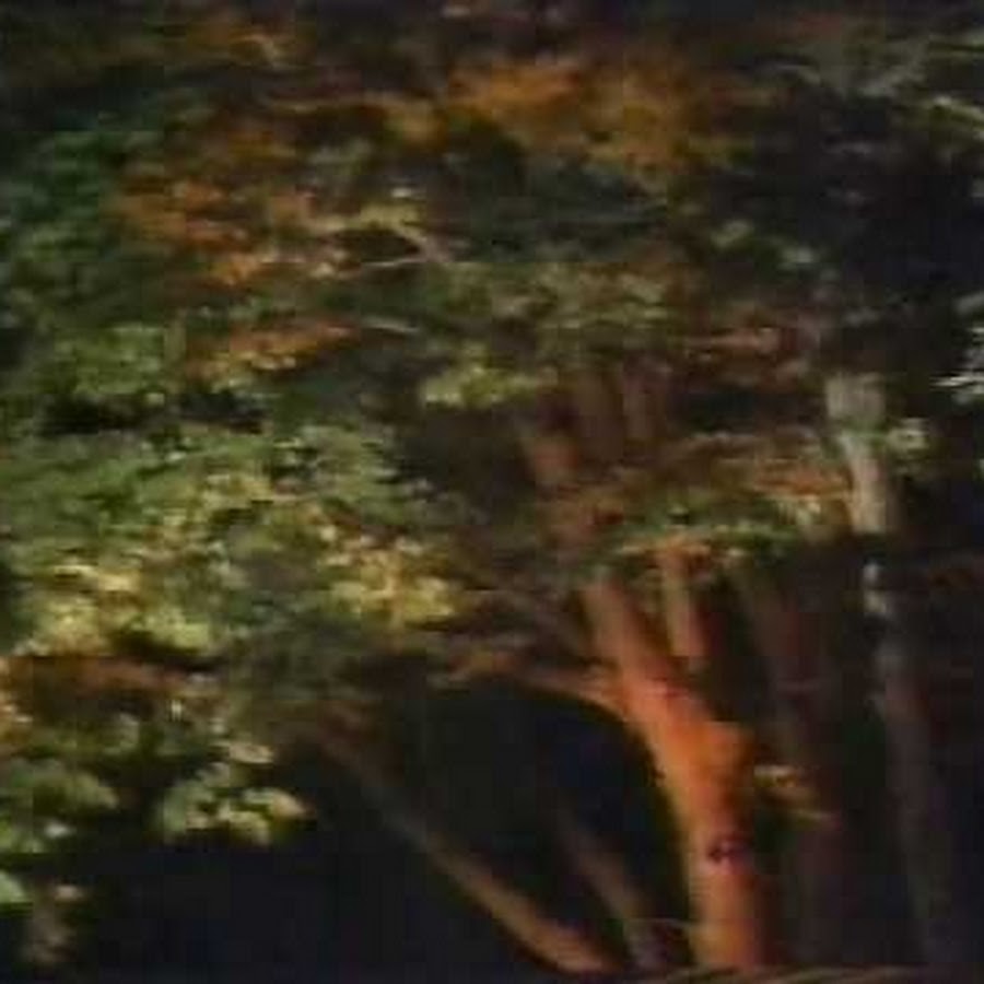shintak1962 Avatar de chaîne YouTube