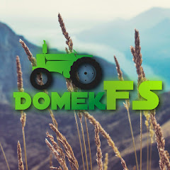 DomekFs