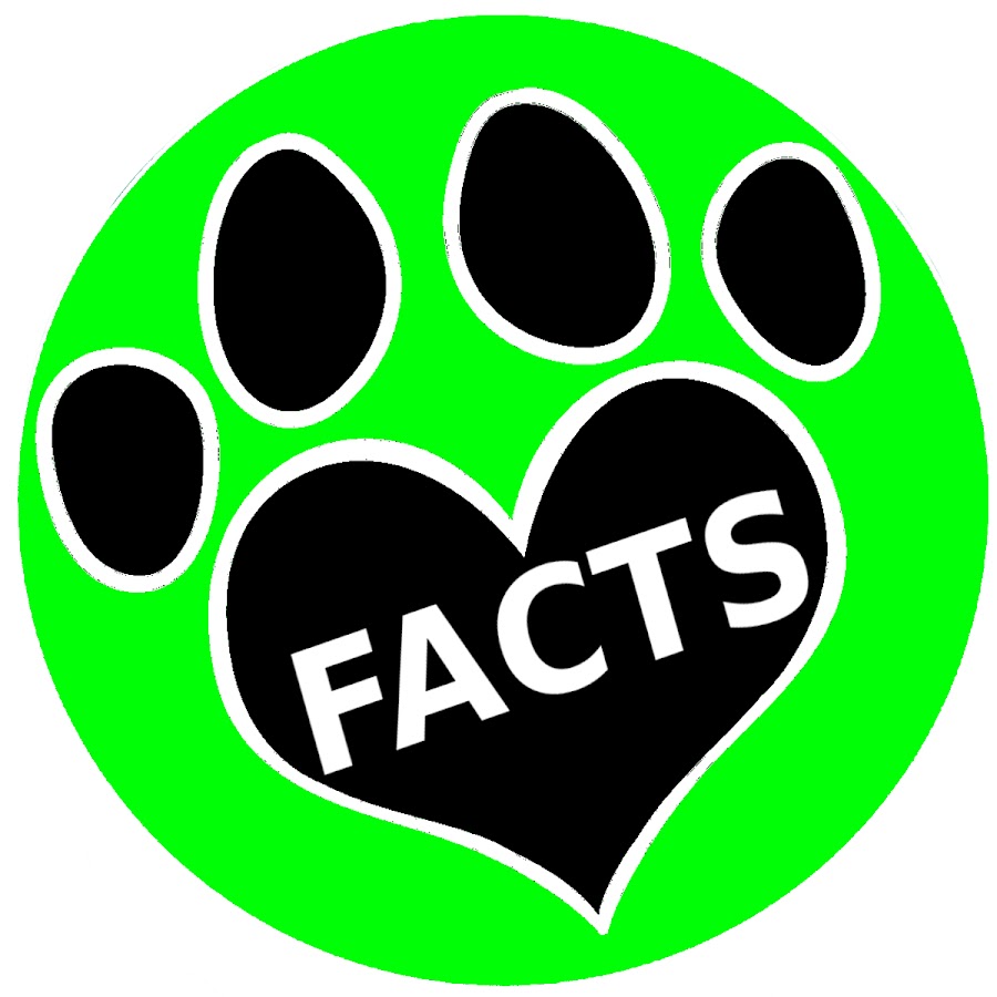 Animal Facts Avatar de canal de YouTube