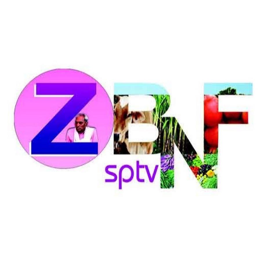 ZBNFSPtv YouTube 频道头像