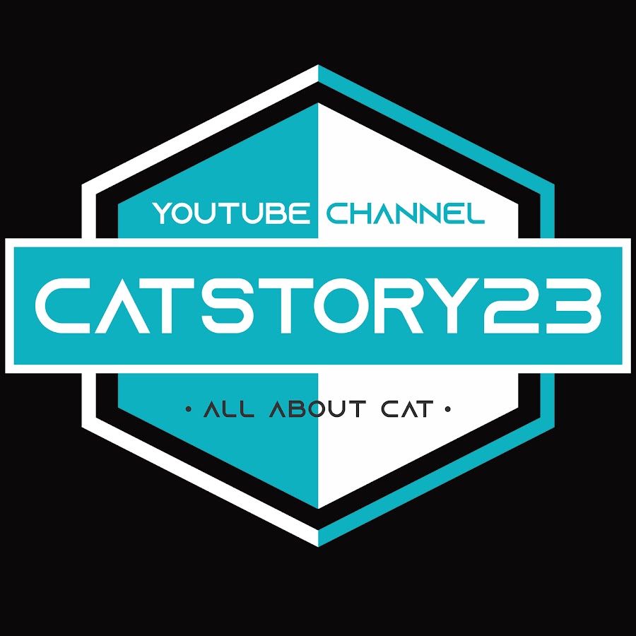 cat story YouTube channel avatar
