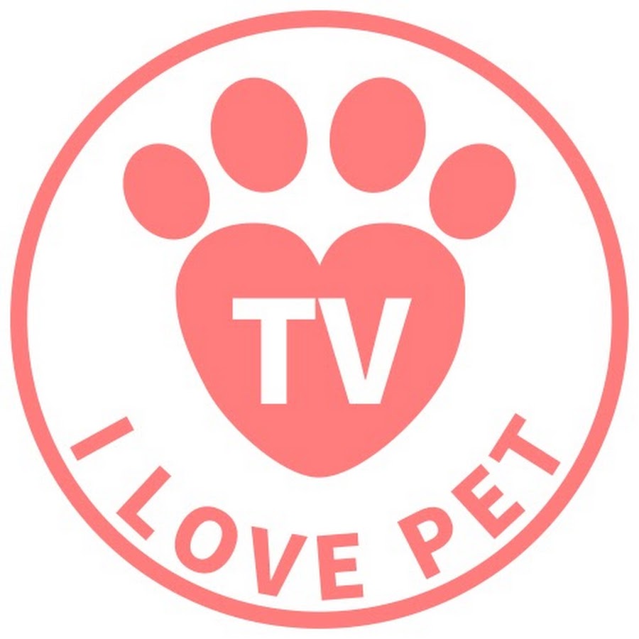 I LOVE PET TV Awatar kanału YouTube