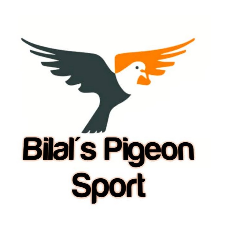 Bilal's Pigeon Sport YouTube channel avatar