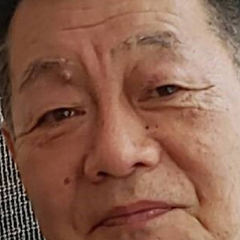 Dashboard Video Detra隆司 アナと雪の女王 Let It Go 25カ国語ver Cover東あき Aki Azuma ６歳 ちょっと間違えた 25 Languages Version 6 Year Old Wizdeo Analytics