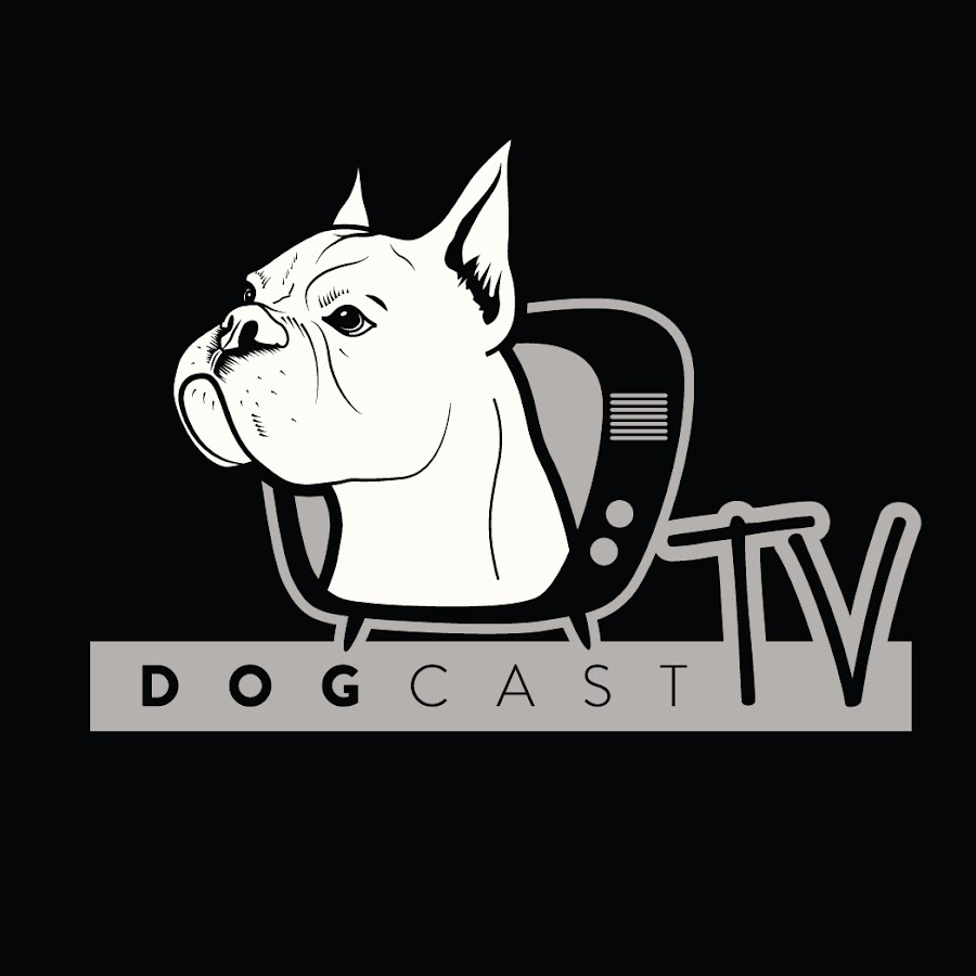 DogCast TV YouTube channel avatar
