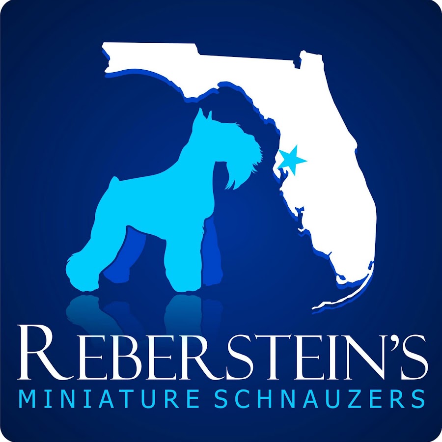 Reberstein's Miniature