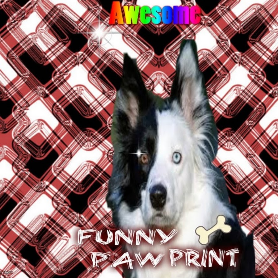 Funny Pawprint Avatar de canal de YouTube