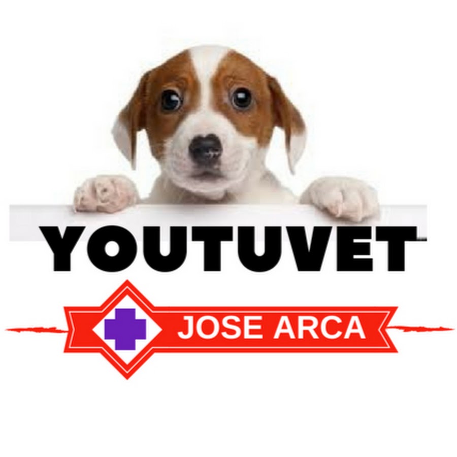 Jose Arca YouTube 频道头像