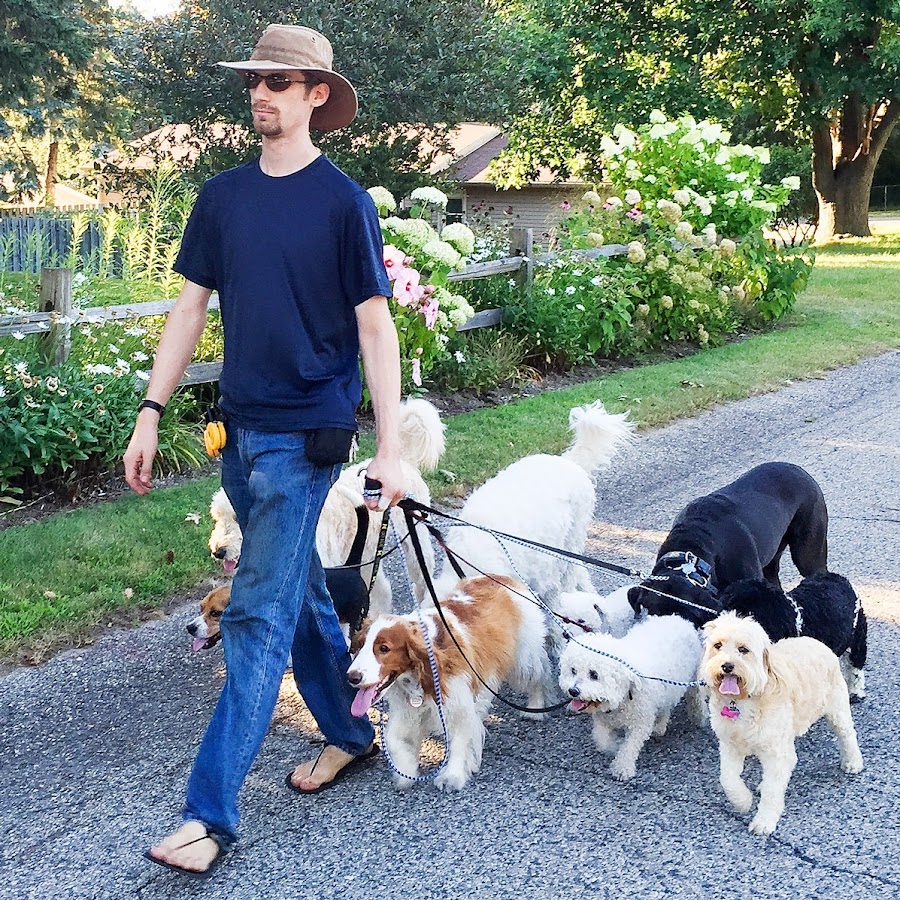 Follow The Leader Dog Training यूट्यूब चैनल अवतार