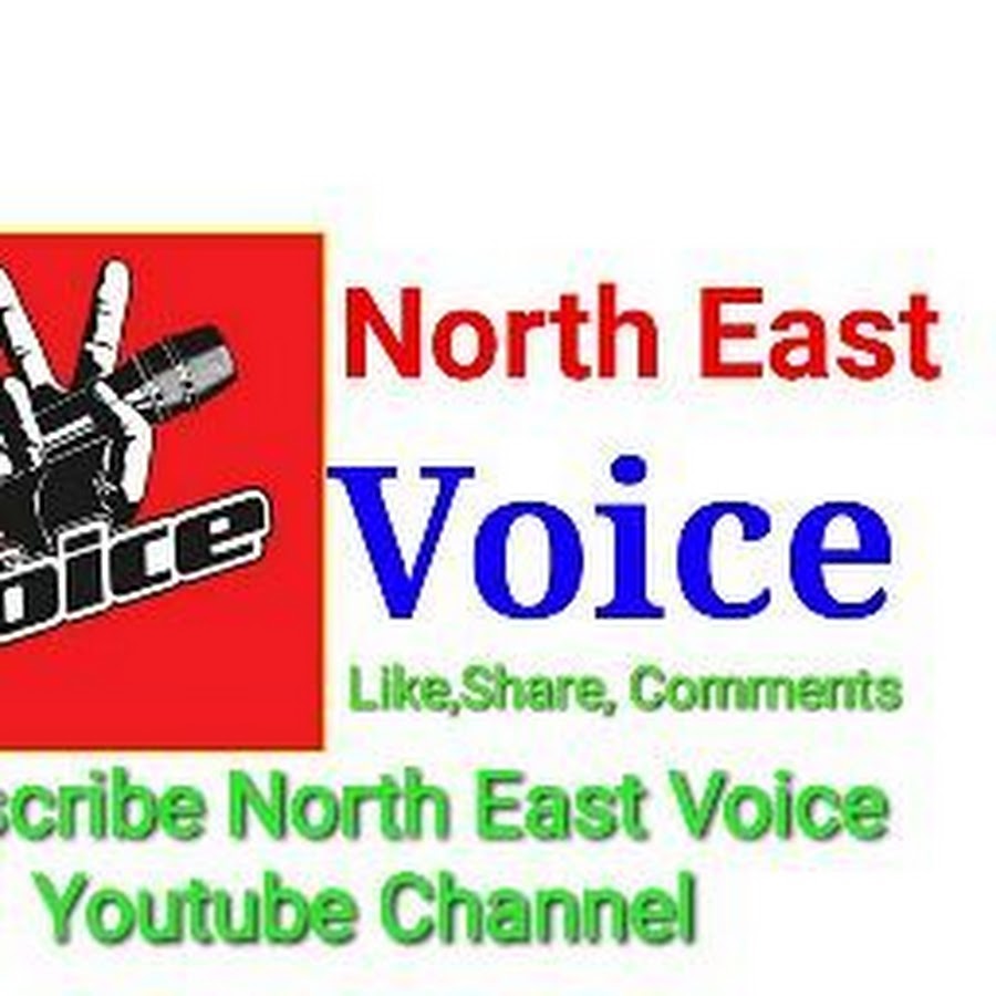 North East Voice Avatar canale YouTube 