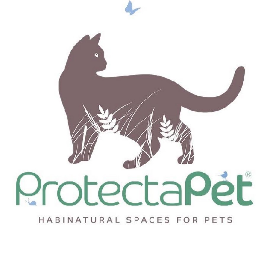 ProtectaPet Ltd YouTube 频道头像