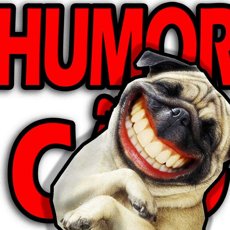 Humor Cao رمز قناة اليوتيوب