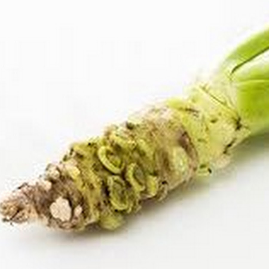 わびさびわさび Youtube