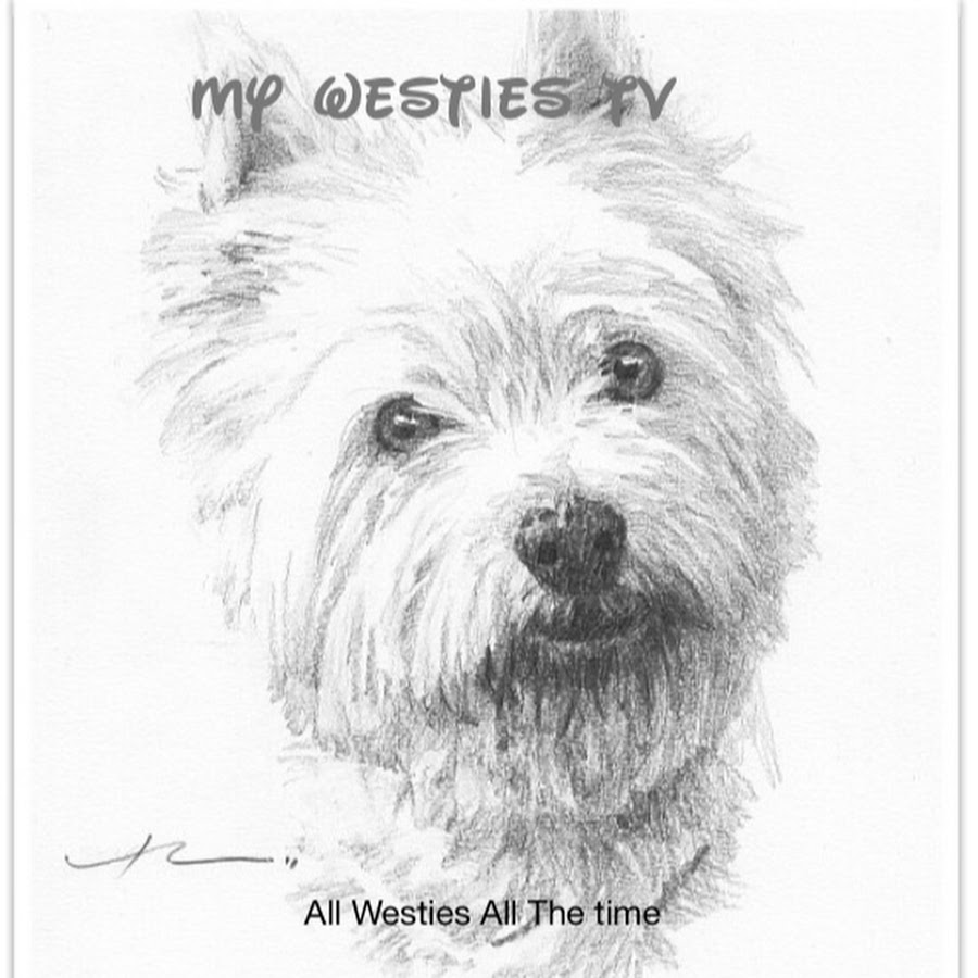 My Westies TV YouTube channel avatar