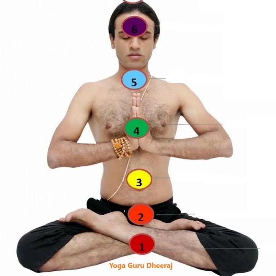 Yoga Guru Dheeraj Avatar de canal de YouTube