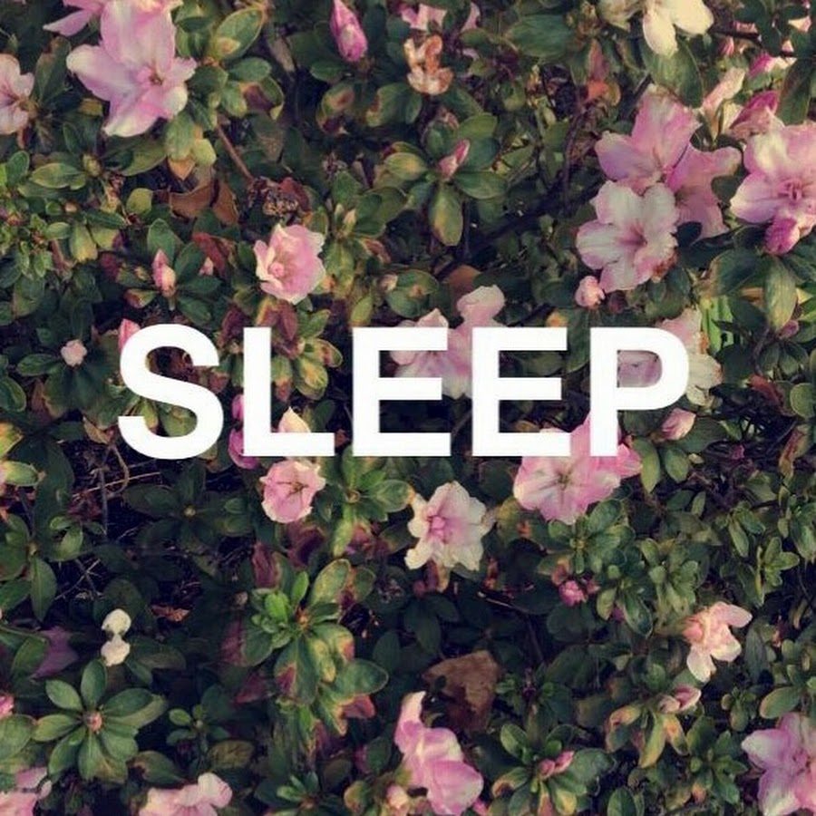 Sleep Sleep