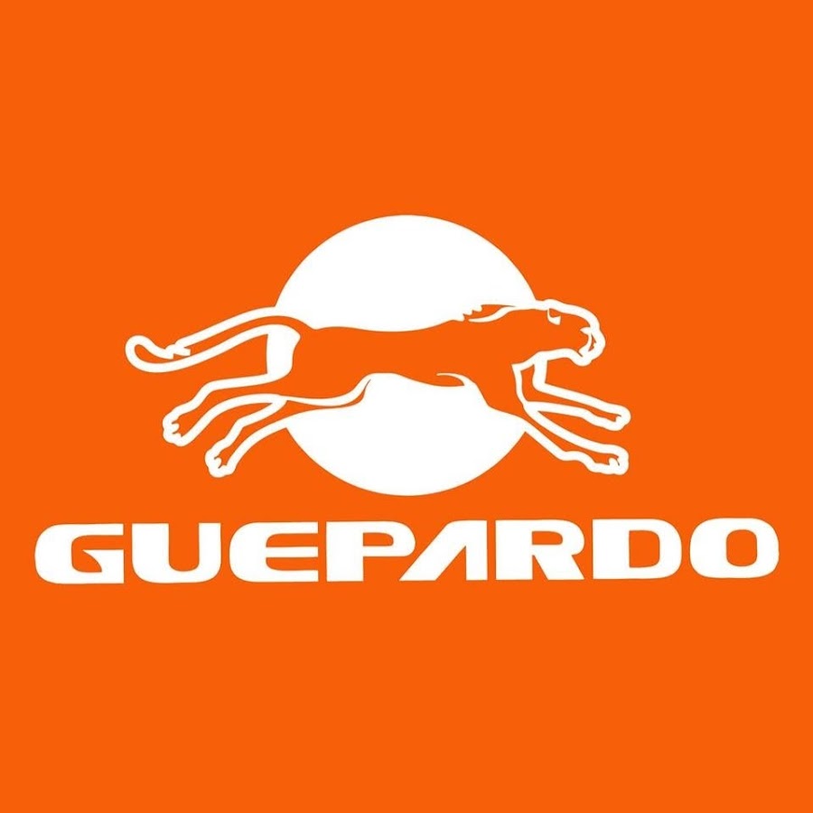 Guepardo Aventura Avatar channel YouTube 